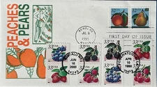 HNLP Hideaki Nakano 2487-8 Pears Peaches Berries 10 Stamp FDC 