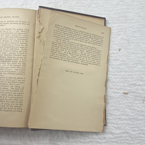 Vintage The Count of Monte Cristo Alexandre Dumas 1894 Hardcover Illustrated Boo - Picture 13 of 15