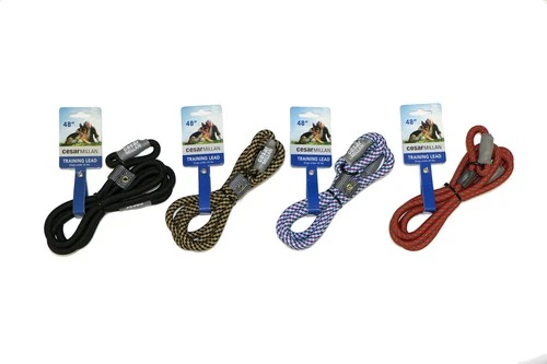 Cesar Millan Slip Lead Leash™ - 2-in-1 Collar Dog Training Large, Grey  - Picture 1 of 7