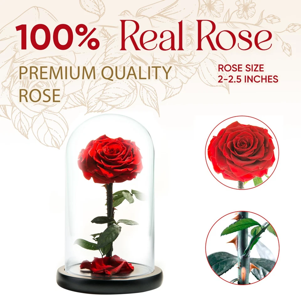 Preserved Rose in Glass Dome Eternal Enchanted Forever  - Infinity Rose  - - Image 2 of 4