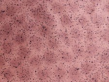 "Pebble Grain" The Alexander Henry Collections - OOP - 2006 - 3 yds.