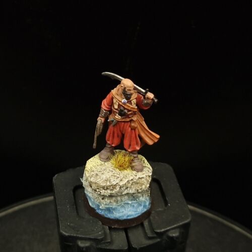 Pro Painted Warhammer Lotr Corsair Captain Delgamar Mesbg Games Workshop - Picture 2 of 4