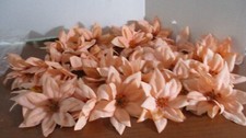 Lot of 27 Beautiful PEACH COLORED POINSETTIA FLOWER BLOOMS