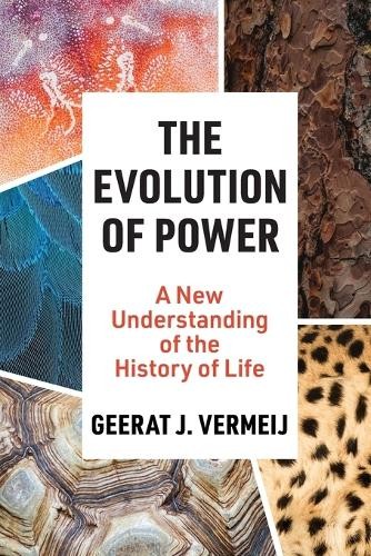 The Evolution of Power by Geerat Vermeij - 9780691250427