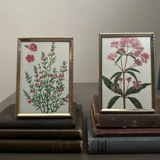 Small Gold Ornate Picture Frame Flowers Black White Vintage Moody Home Decor Set