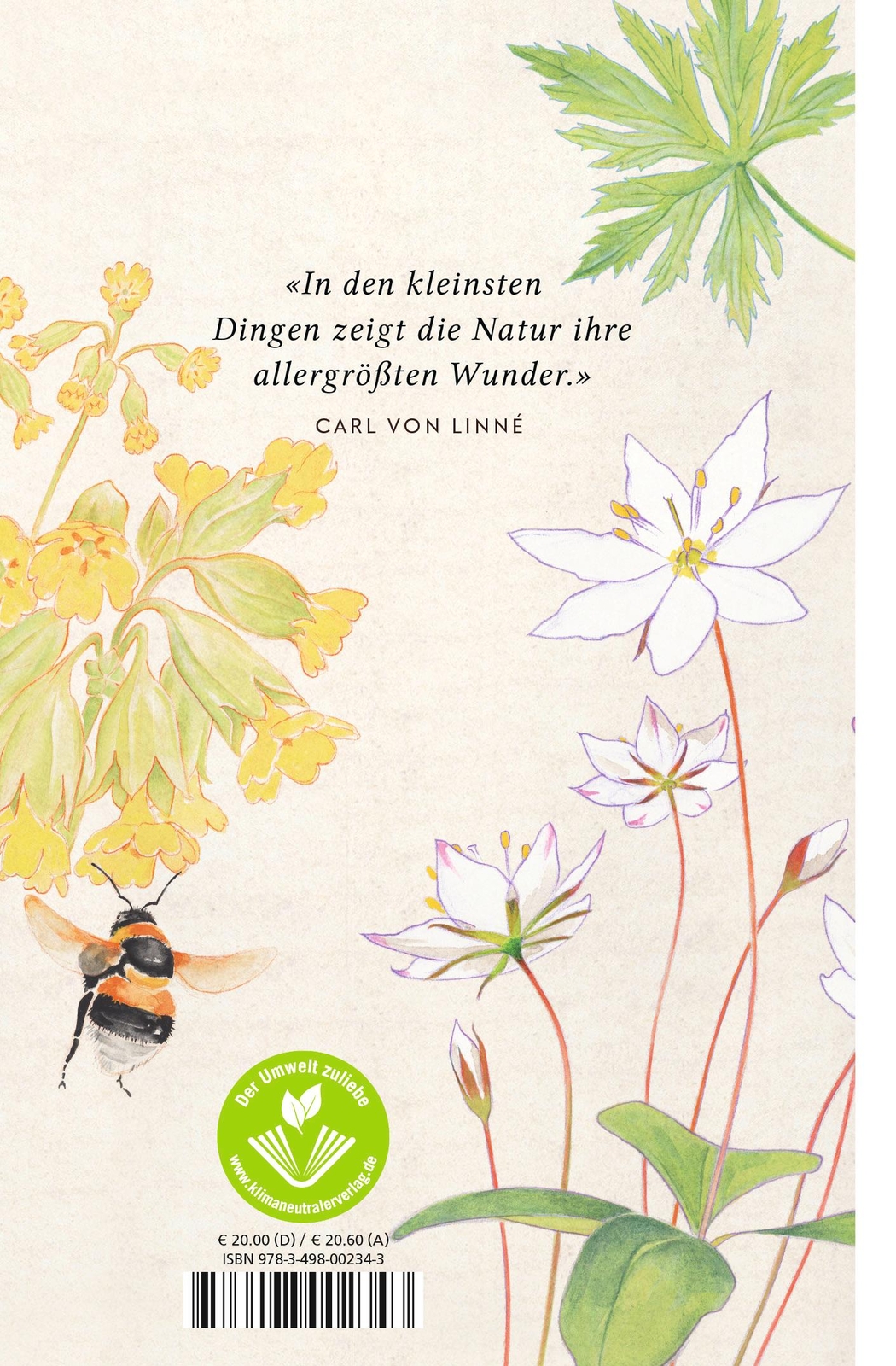 Thumbnail - Die Wildblumensammlerin | Loewe, Elke