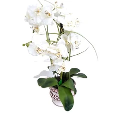 White Silk Flowers Orchids in Vase, Flower Arrangement 20"  EUC