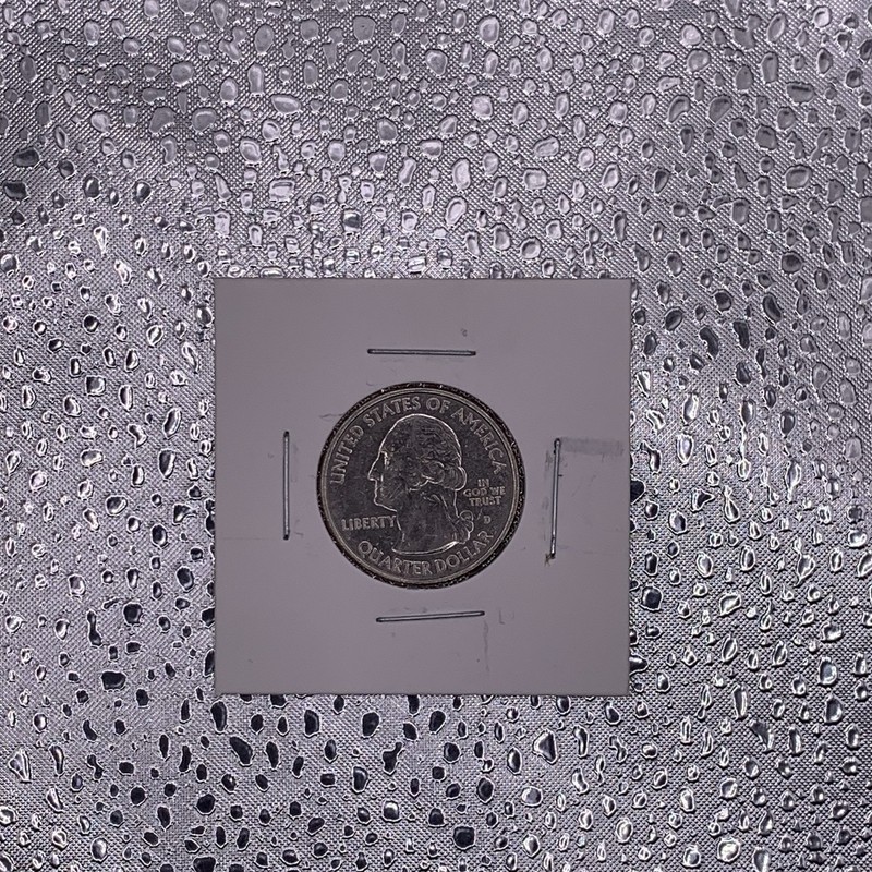 2020 D American Samoa Fruit Bat Quarter USA Nice