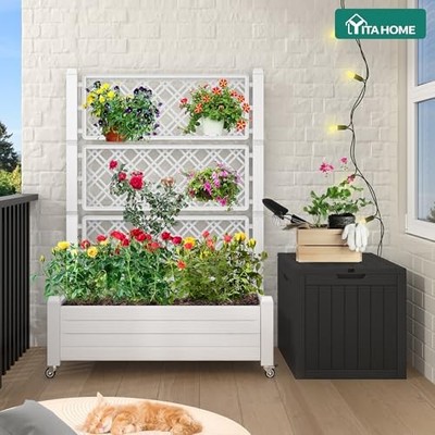 renter friendly hanging plants Orchid & Staghorn Fern Wall Mount Vertical Planter – Renter-Friendly L –  Leafy Cove main image 0