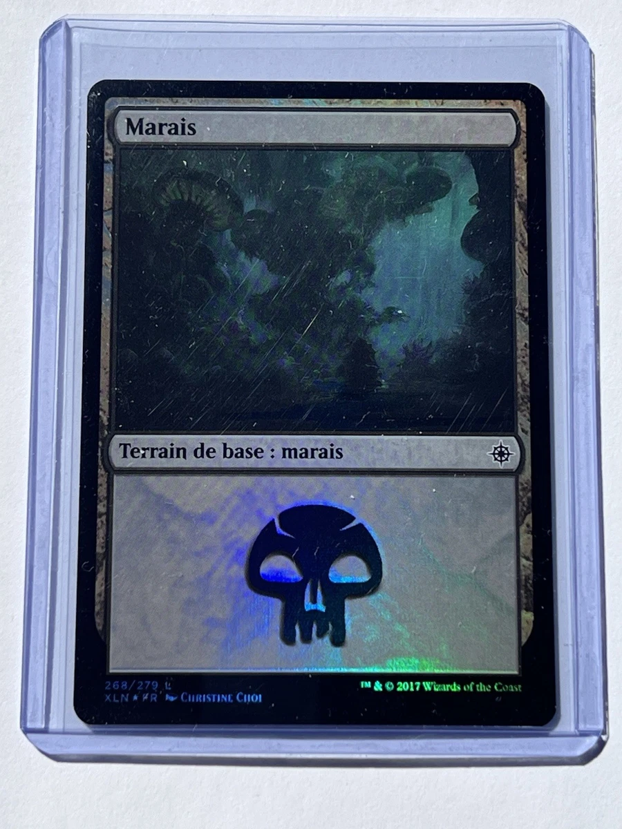マジック　ザ　ギャザリング land フランス語 Land Magic: The Gathering Individual Trading Card Games in French