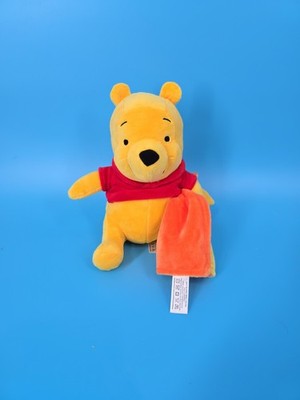 Winnie the Pooh mit Kuschel Decke Original Disney ca.24cm NEU Top Geschenk 