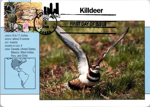 Dr Jim Stamps Maximum Card Piping Plover 42C Fdc 2008