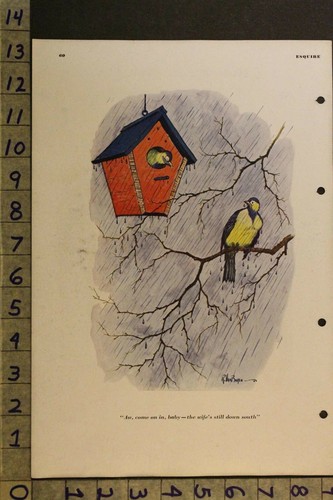 1935 RAEBURN VANBUREN ILLUS BIRD NATURE HOUSE VINTAGE SEXY ESQUIRE CARTOON VB73