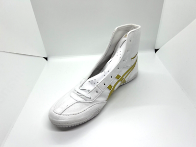 asics Boxing Wrestling Shoes White Gold Line Silver 1083A001 EX-EO