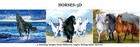 Bild 17 von 17