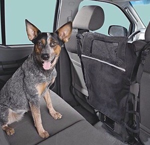 control leash for dogs