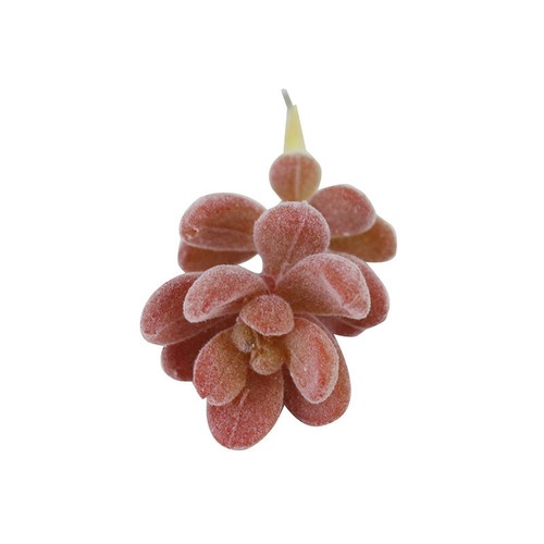 Simulation Artificial Succulent Fake Plants Plastic Flowers Home Floral Decor - Picture 85 of 93