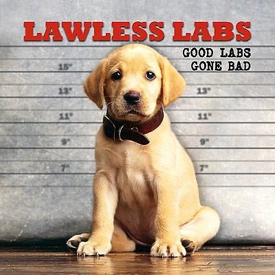Lawless Labs: Good Labs Gone Bad by Kimball Leighton