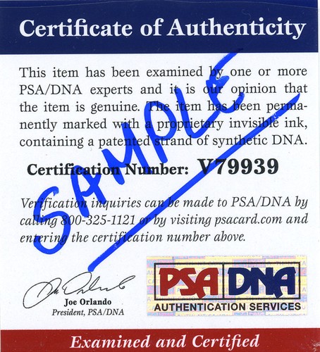 (SSG) WILLIAM PHIPPS Signed 10X8 Disney's Cinderella, Prince Photo - PSA/DNA COA - Picture 4 of 5