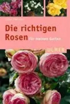 Eckart Haenchen | Die richtigen Rosen für meinen Garten | Taschenbuch | Deutsch