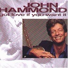 Got Love If You Want It von John Hammond | CD | Zustand sehr gut