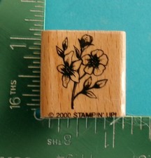 Stampin Up FLOWER Rubber Stamp Summer Garden Blossom