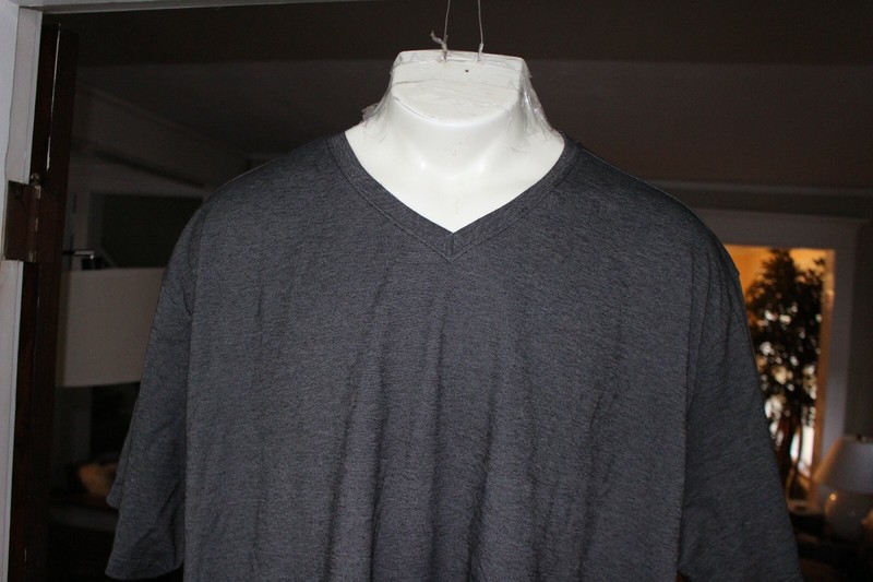 TRUTH SUBSTANCE COMMON SENSE GREY S/S V-NECK T-SHIRT SZ:5XL 5X NWT
