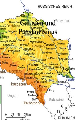Galizien und der Panslawismus Ohne Autor Taschenbuch 132 S. Deutsch 2011 Outlook