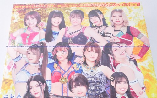 2023 BBM women’s Pro wrestling limited Wrestler 1 Box Collecting Japan Sealed - Picture 4 of 24