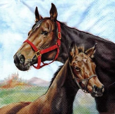 (2) Two Paper Lunch Napkins for Decoupage/Mixed Media - Horse Love