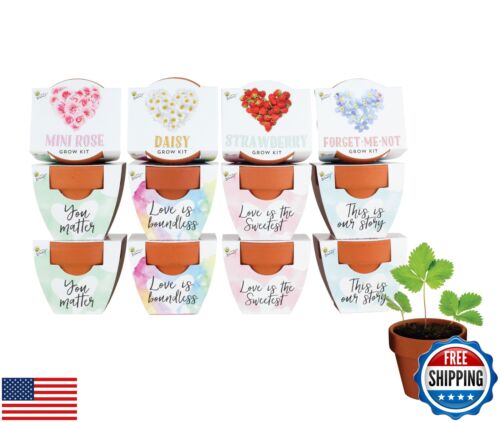Buzzy Seeds Terracotta Mini Grow Pots | Herb, Plant, Flower Starter Kit for K