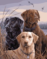 Plaid Proud Labs Paint By Number Kit on sale Plaid Proud Labs Paint By Number Kit on sale