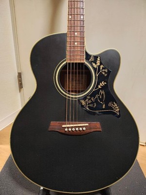 Ibanez Eco Ael12Ertk1201/With Soft Case