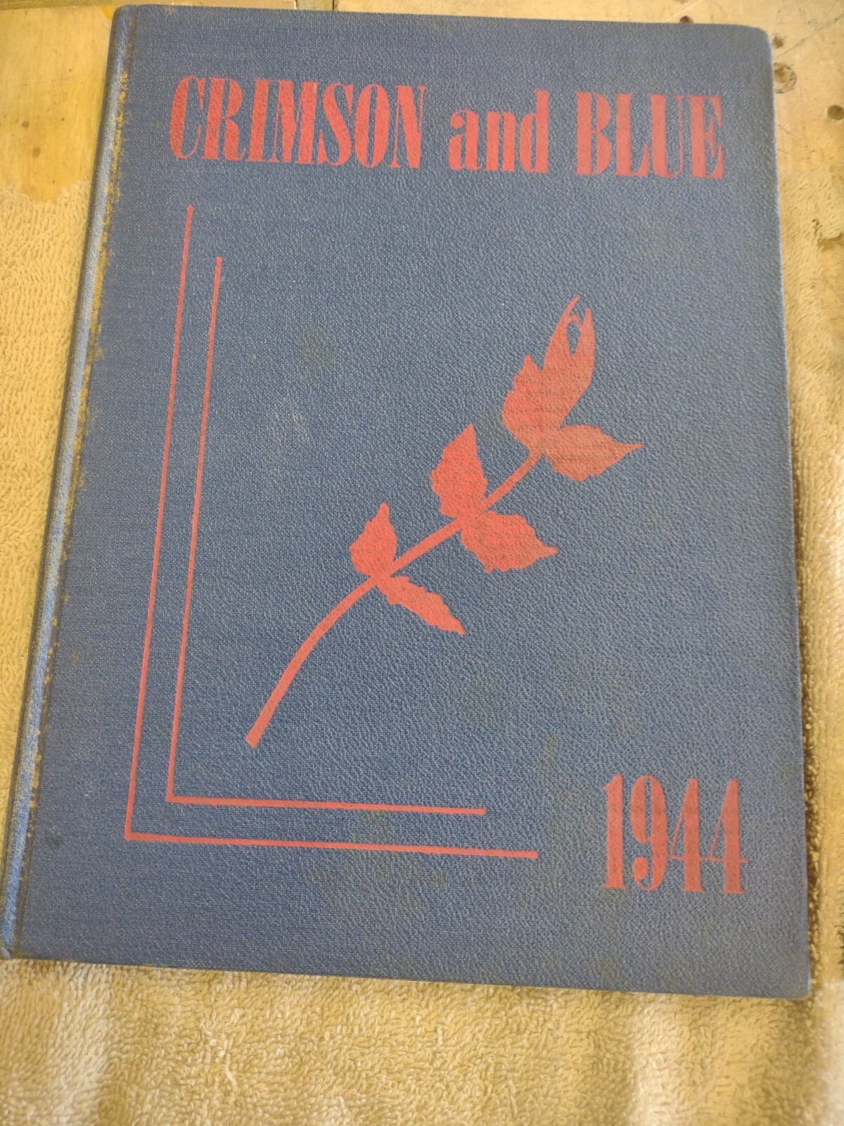 Picture 10 of 24