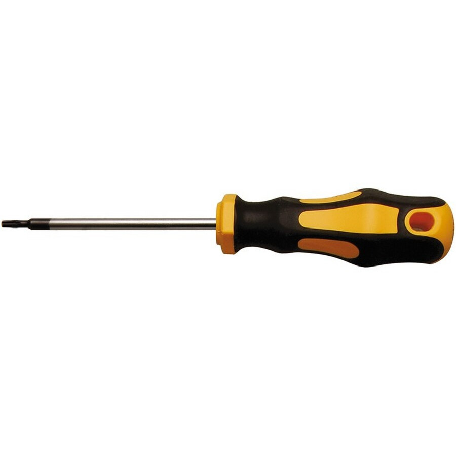 torx tx6 screwdriver - code bgs7844-t6 KRAFTMANN workshop