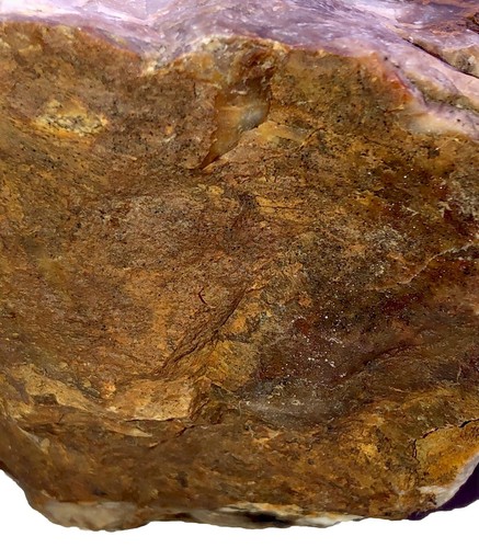 2lb. 6oz. Western Washington Petrified Wood Fossil - Picture 12 of 12