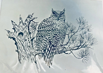 VTG BUCILLA #2572 ''Wise Old Owl'' Needle Etching Kit on 100% Linen & Rayon Thread