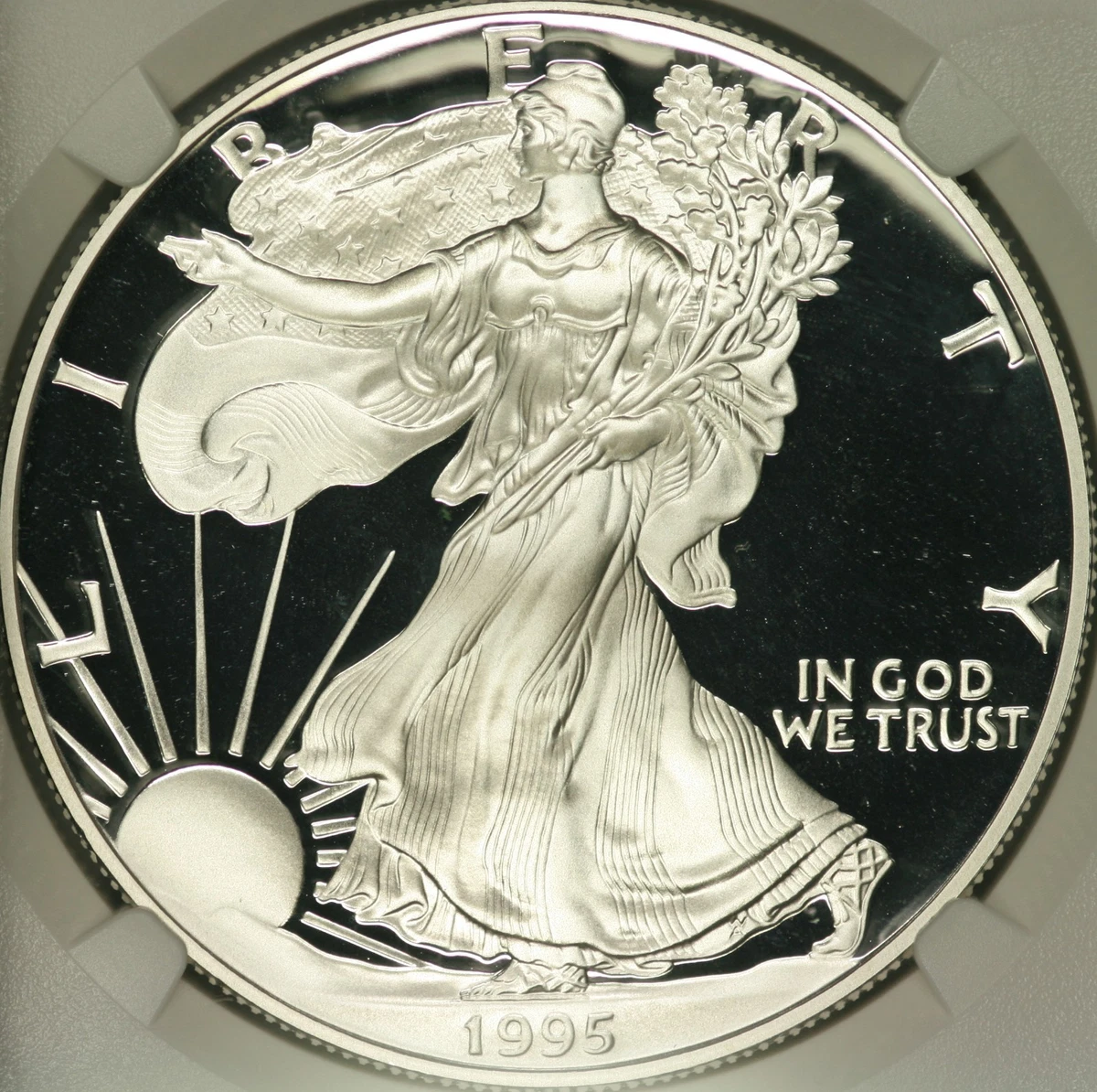 1995年 アメリカンイーグル シルバー American Eagle 1 oz Precious Metal Content per Unit 1995 Silver