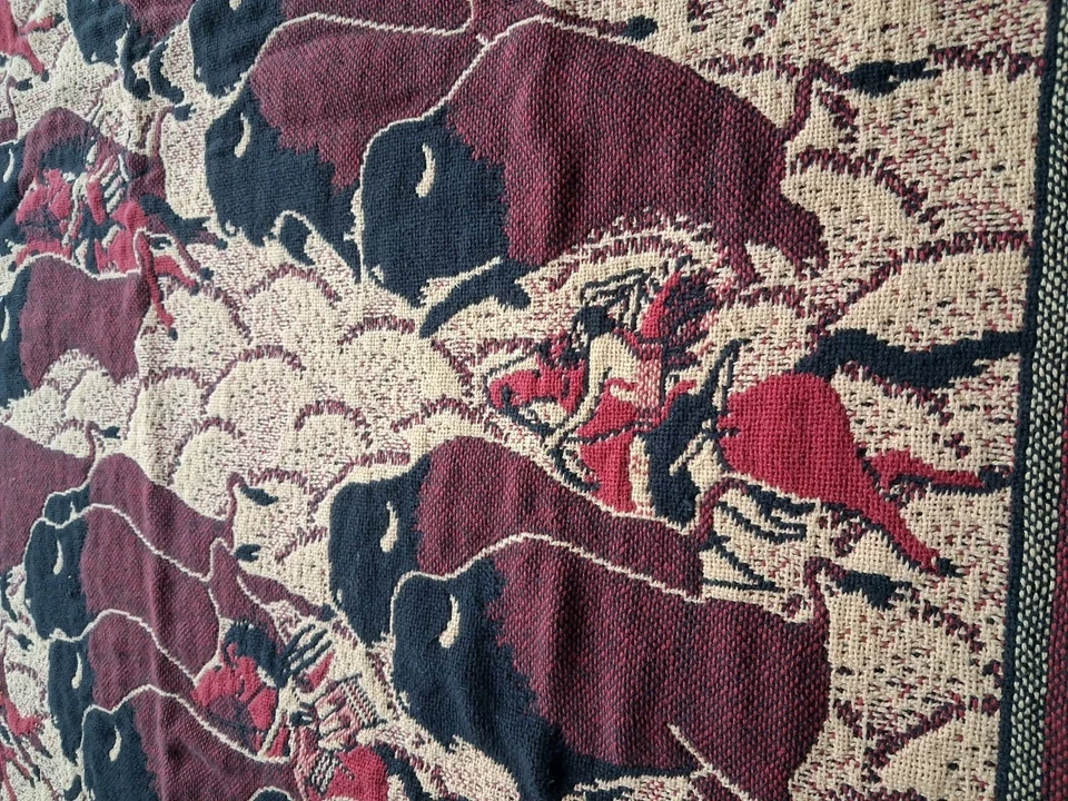 Tapiz manta flecos bisonte búfalo indio nativo americano San Marcos?? Foto 3 de 4