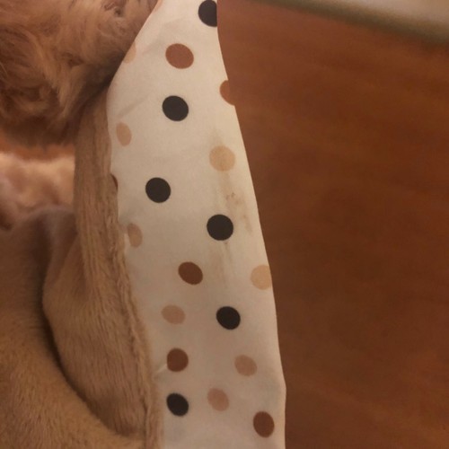 Oso de peluche This & That Peek a Boo peluche parlante animado ¡Ver video! ¡Ver vídeo! - Imagen 12 de 12