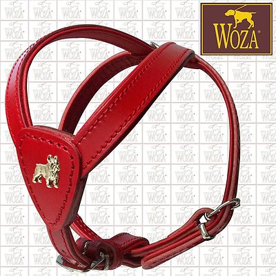 Premium Ledergeschirr Französische Bulldogge Vollleder WOZA Soft Rindnappa FGF78