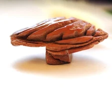 Walnut natural walnut obidome Japanese style appreciation