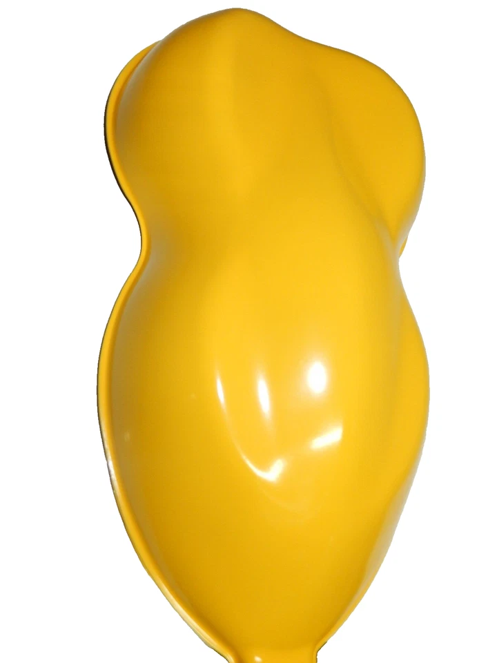 # 1377 High Gloss Chrome Yellow Single Stage Acrylic Enamel Paint Gallon Kit - Изображение 4 из 4