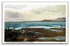 Salton Sea Colorado Desert California CA UNP Unused WB Postcard H25