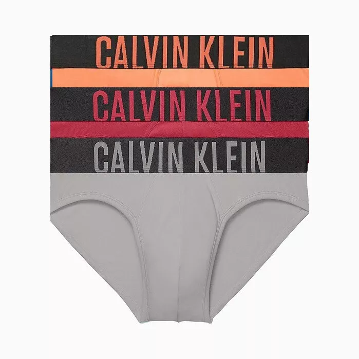 Calvin Klein Men's NB2595923 Intense Power Cotton 3-Pack Hip  Brief,Multicolor, S