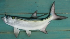 Tarpon Hand Painted 19" Replica Wall Mount Sculpture Fishing Salt Water Trophy  