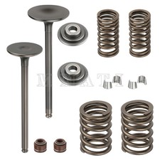 Engine Intake Exhaust Valve Spring Kit For Honda TRX300FW FourTrax 300 1988-2000