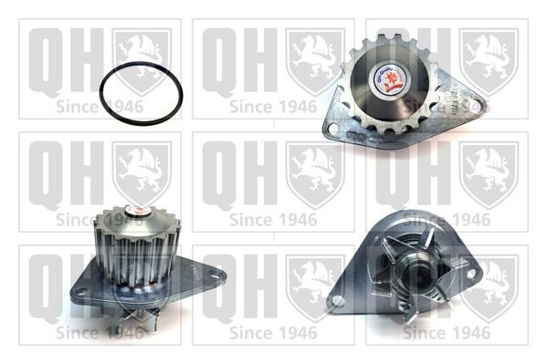 Pompa Benzina Meccanica QUINTON HAZELL QFP120 - Ricambio Compatibile Con TRIUMPH Spitfire E MG Midget