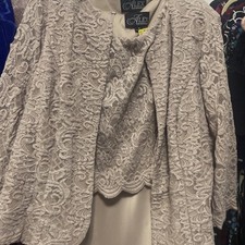 Alex Evenings Tan Shiny Dress 2 Piece Size 18 New Without Tags mother of the