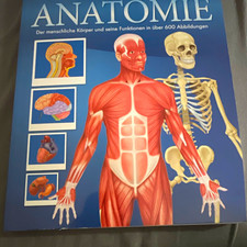 ANATOMIE Gesundheitsatlas   Atlas (illustrier...